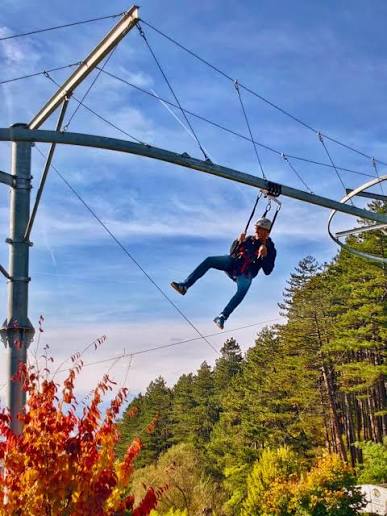 Zipcoaster - 13. fotoğraf