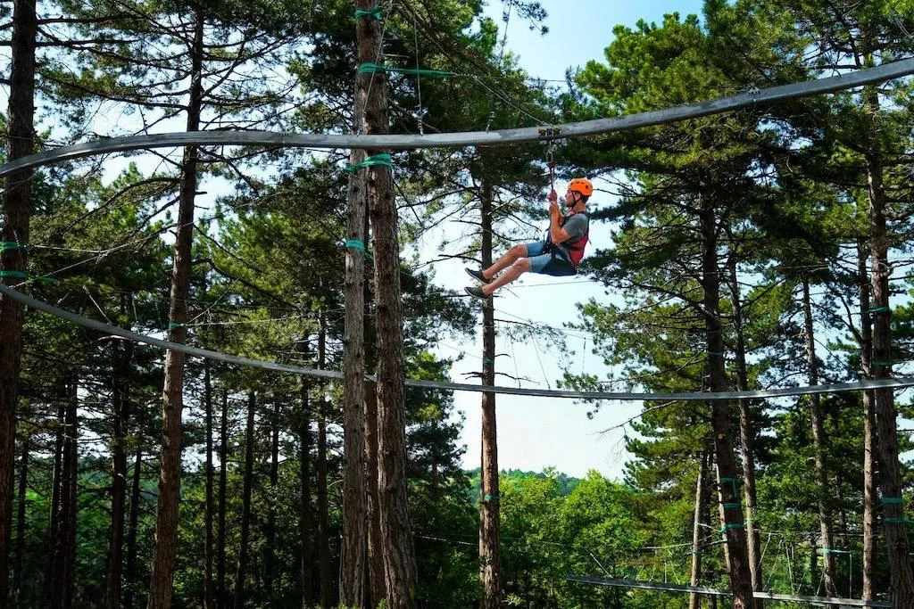 Zipcoaster - 3. fotoğraf