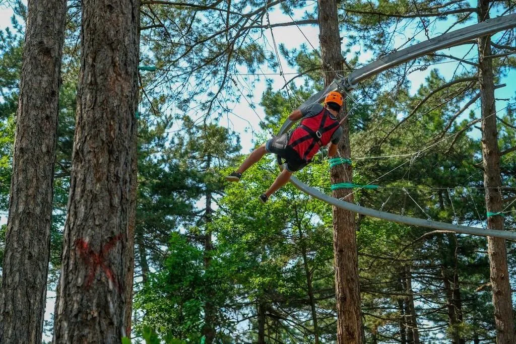 Zipcoaster - 4. fotoğraf